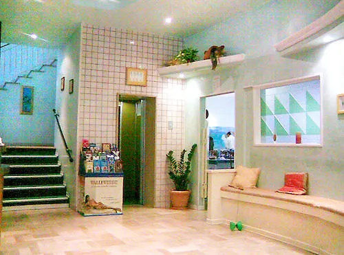 ***  Hotel Holiday Misano Adriatico Italy